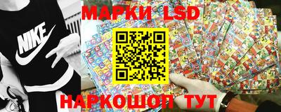 spice Шахты