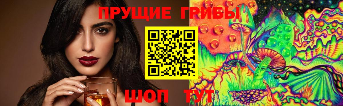 Галлюциногенные грибы GOLDEN TEACHER  Вход с VPN  Россошь  Псилоцибиновые грибы Psilocybe 
